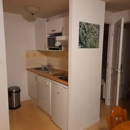 Avec Vue Sur La Montagne A Lary Soulan 28 M² Piscine Saint-Lary-Soulan