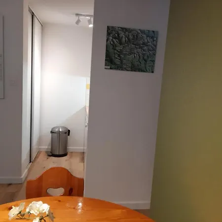 Avec Vue Sur La Montagne A Lary Soulan 28 M² Piscine Apartment