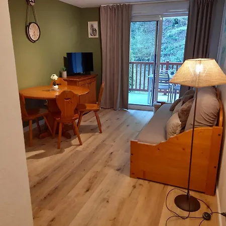 Apartment Avec Vue Sur La Montagne A Lary Soulan 28 M² Piscine *