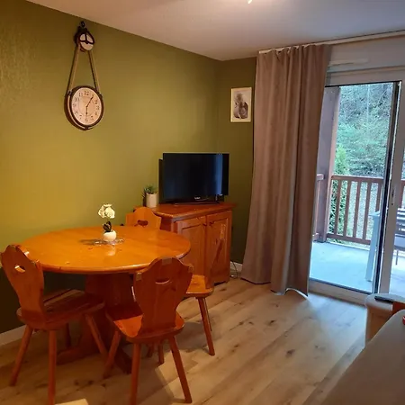 Avec Vue Sur La Montagne A Lary Soulan 28 M² Piscine Saint-Lary-Soulan
