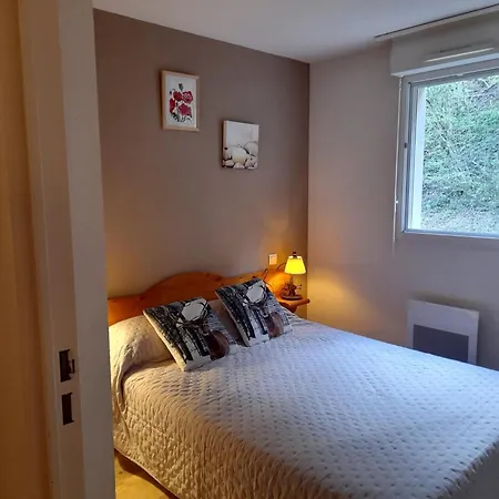 Avec Vue Sur La Montagne A Lary Soulan 28 M² Piscine