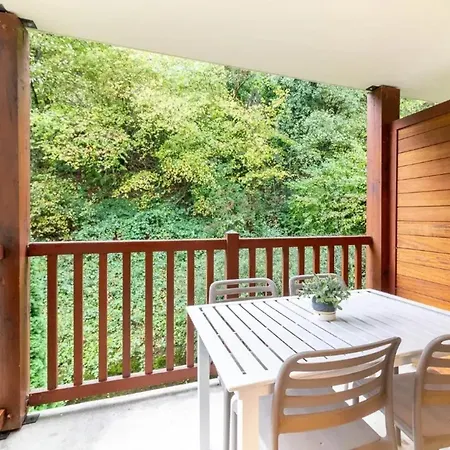 Appartement Avec Vue Sur La Montagne A Lary Soulan 28 M² Piscine Saint-Lary-Soulan
