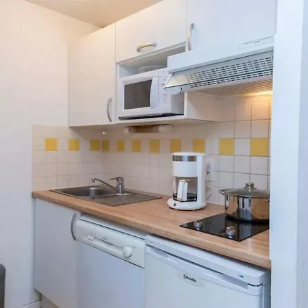 Appartement Avec Vue Sur La Montagne A Lary Soulan 28 M² Piscine Saint-Lary-Soulan